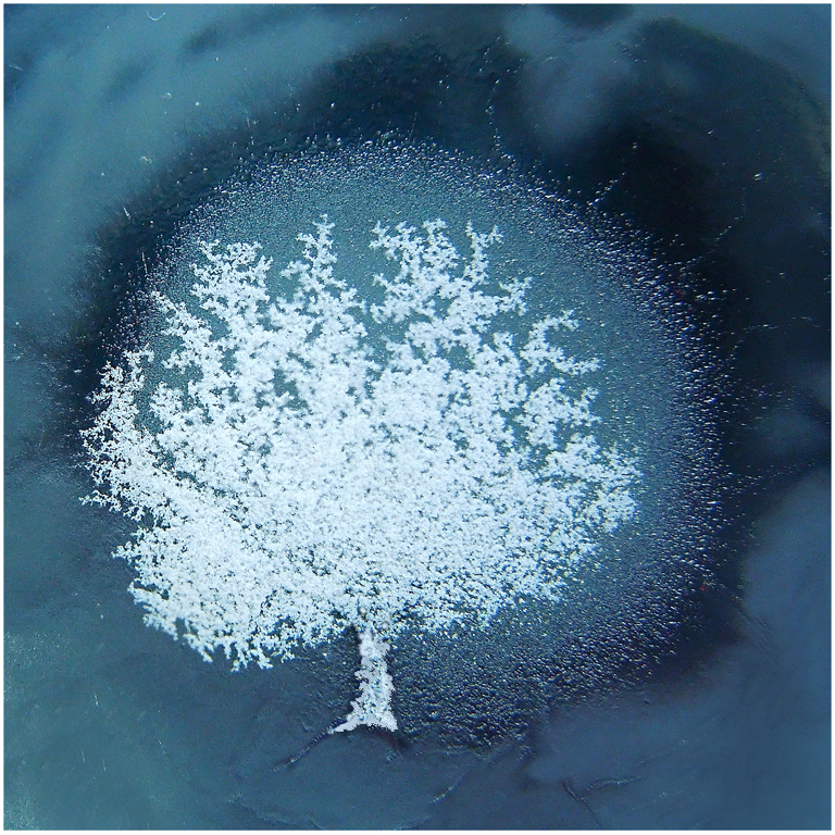 Crystal Tree in a Glass